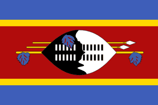 The flag of Eswatini is composed of three horizontal bands — a large central yellow-edged red band, and a light blue band above and beneath the red band. The red band is three times the height of the blue bands and bears a centered emblem made up of a large black and white Nguni shield covering two spears and a staff decorated with feather tassels, all placed horizontally.